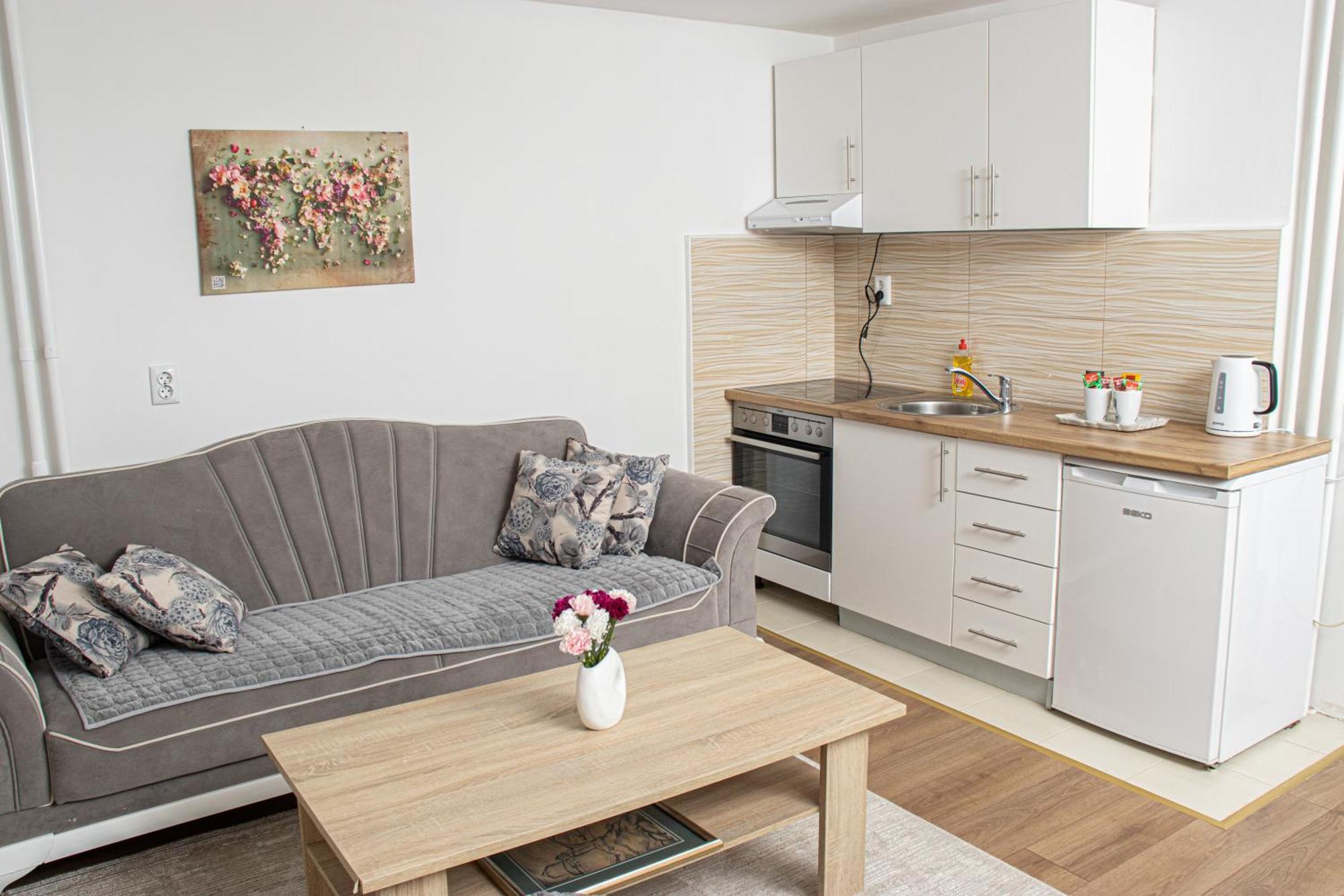 Apartment Forever トゥズラ エクステリア 写真
